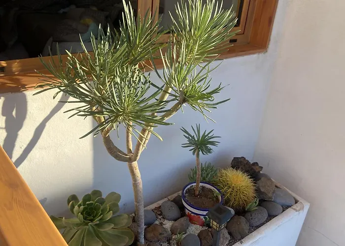 Apartamento Cristianos Near Vistas Cactus 1 *